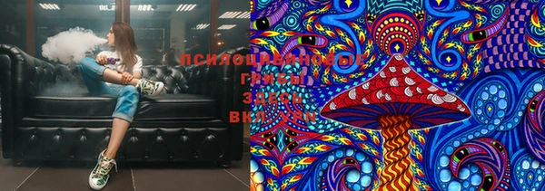 молекула духа Михайловск
