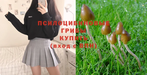 кокаин колумбия Михайлов