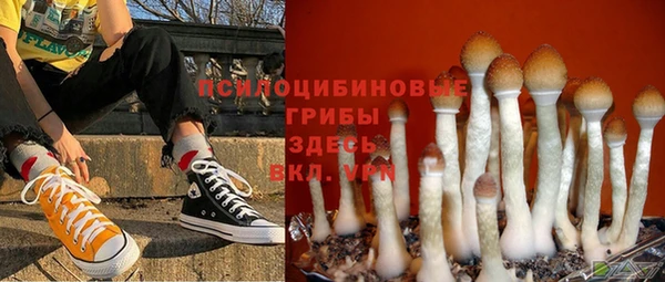 молекула духа Михайловск