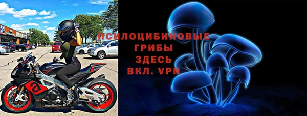 молекула духа Михайловск