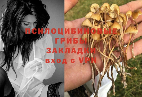 кокаин колумбия Михайлов