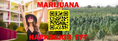 гашик Гай