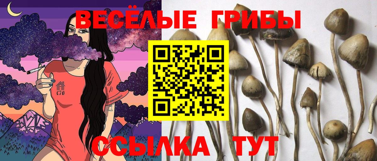 Галлюциногенные грибы Cubensis  Галлюциногенные грибы GOLDEN TEACHER  Ангарск  Вход с VPN 