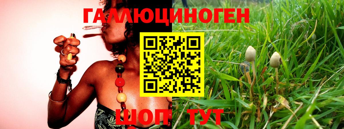 Псилоцибиновые грибы Magic Shrooms Ангарск